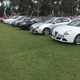 Illustration for article titled Alfa car show pic dump